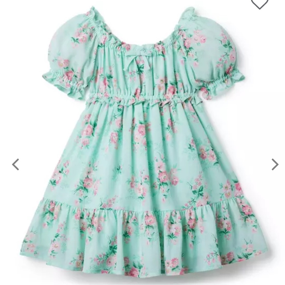 Janie and Jack Floral Chiffon Puff-Sleeve Dress - size 3